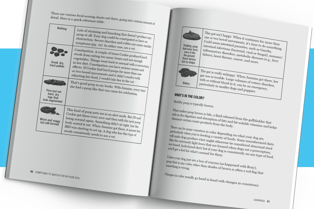 Diarrhea spread from Symptoms to Watch for in Your Dog