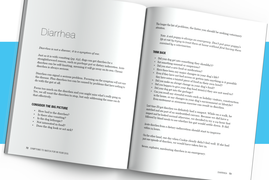 Introduction spread from Symptoms to Watch for in Your Dog