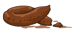 Dog stool consistency: formed