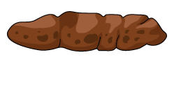 Dog stool consistency: perfect