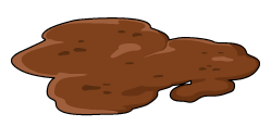 Dog stool consistency: watery