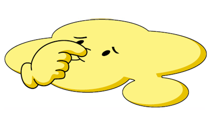 Stinky urine in Dogs