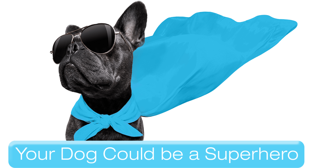 Share your dog's story. Your dog could be a superhero.