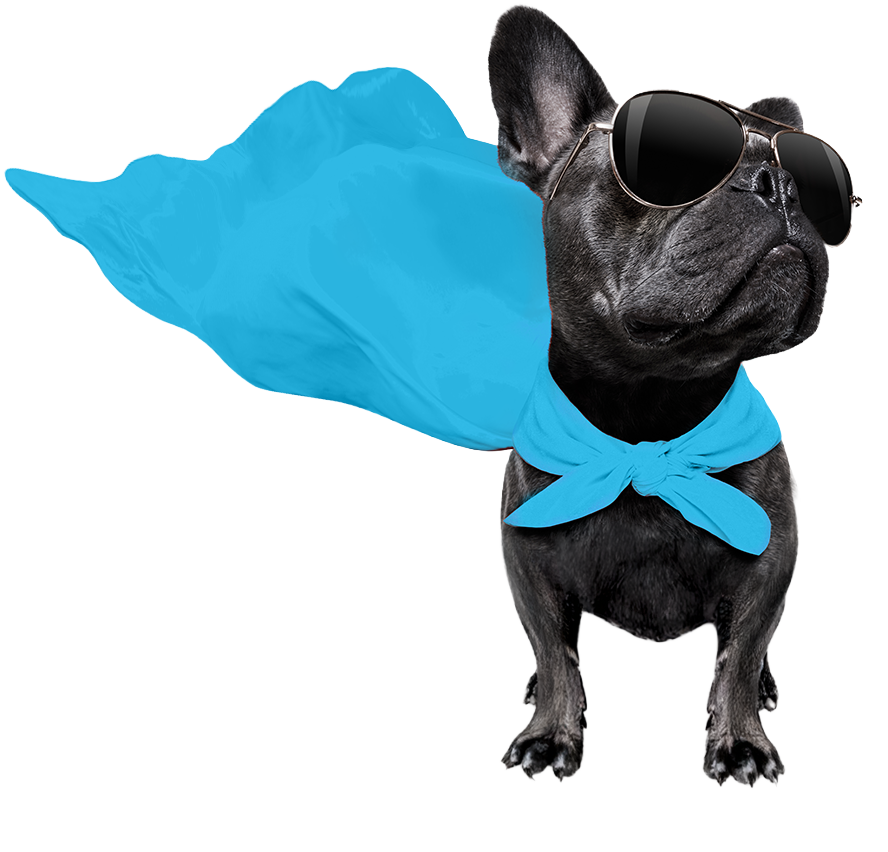 Share Your Dog's Story: Dog Superhero