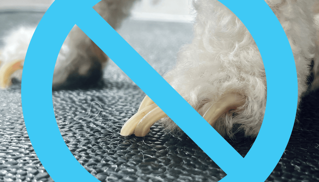 Why Trim Dog Nails: The Domino Effect of Untrimmed Nails